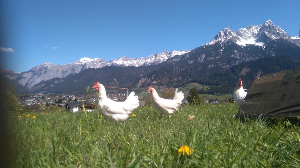 Klampfererhof Farm stay Saalfelden