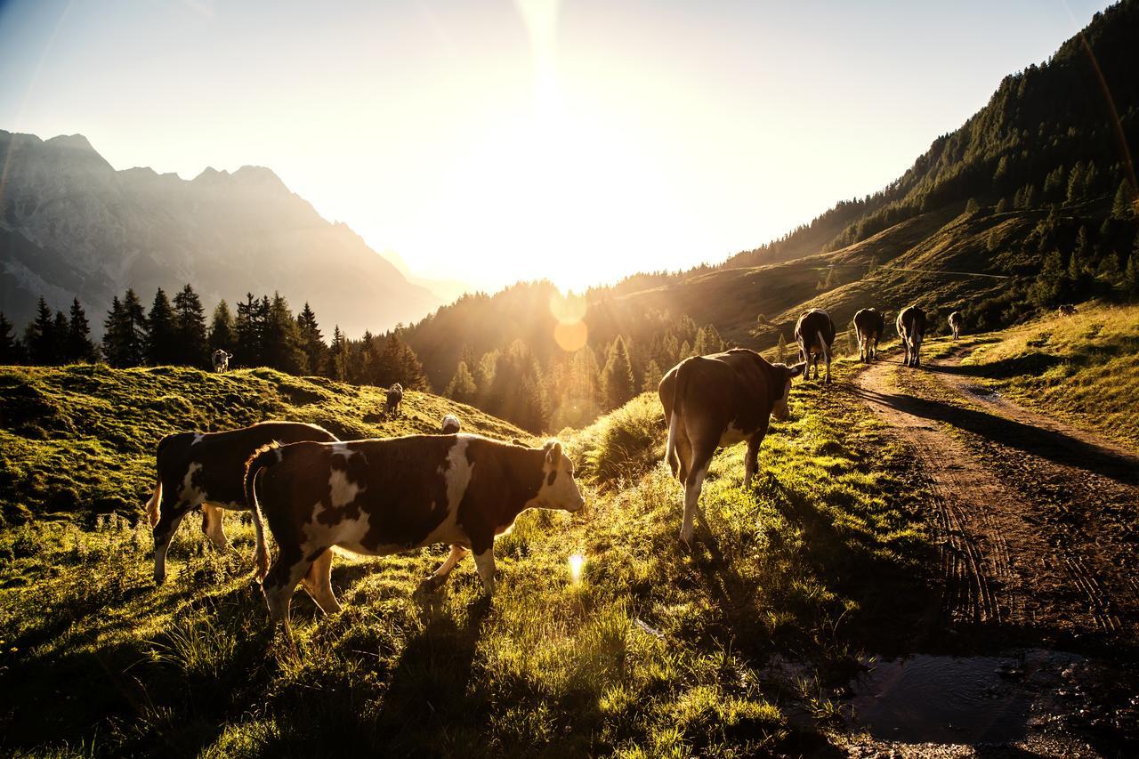 Klampfererhof Farm stay
